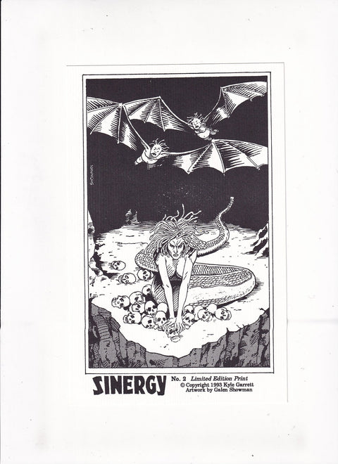 Sinergy #2