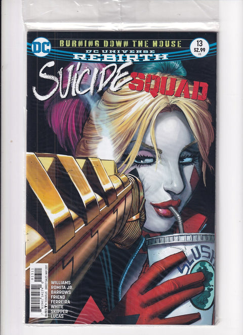 Suicide Squad, Vol. 4 #13A